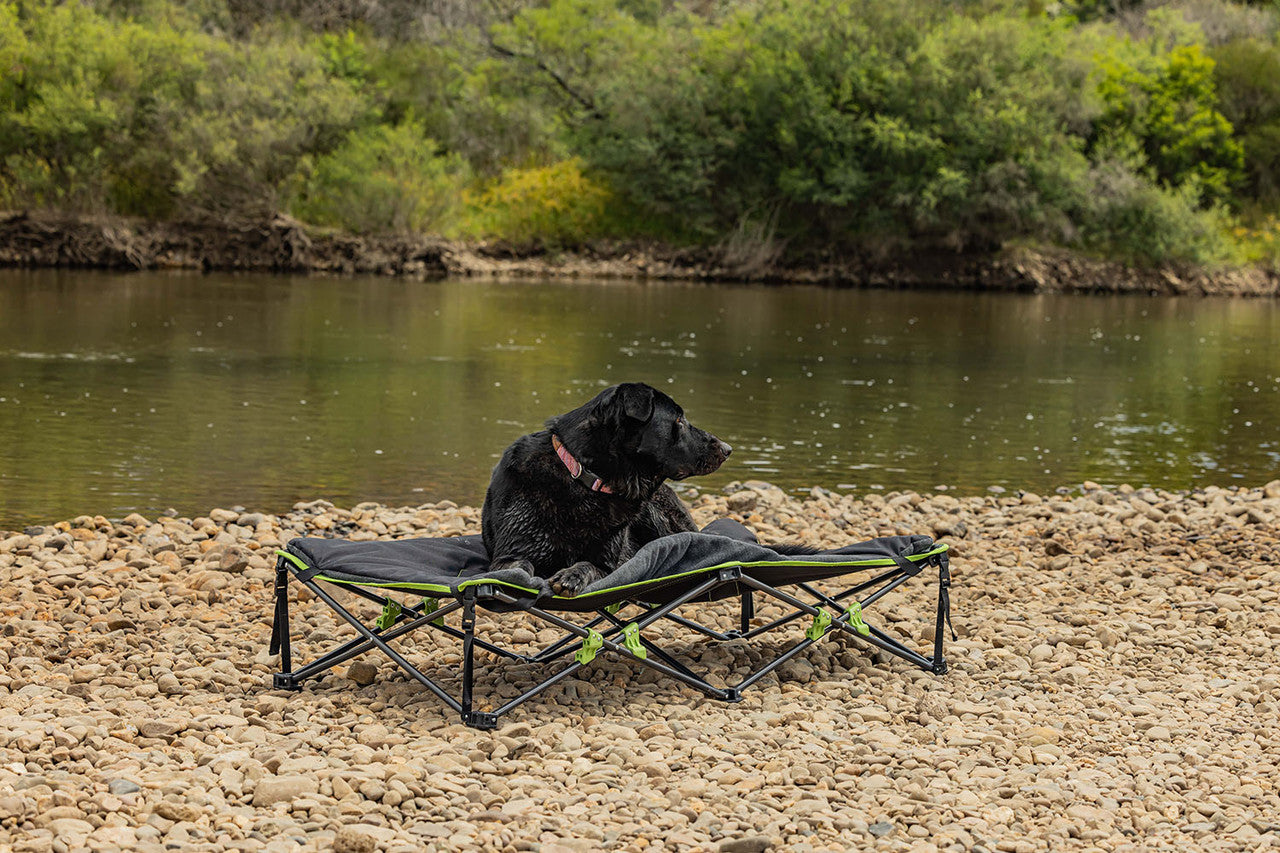 Ironman 4x4 Quick Fold Dog Bed With Padded Mat (XL)